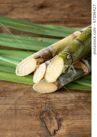 Okinawa Prefecture sugar cane Okinawa Prefecture sugar cane 67896427
