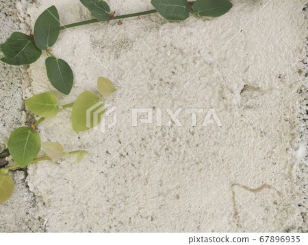 Brick block wall and ivy plants Brick block wall and ivy plants 67896935