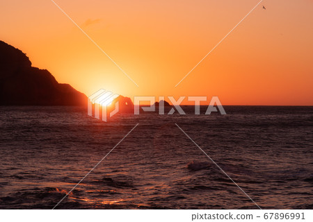 The sun rises again Koirigahama 67896991