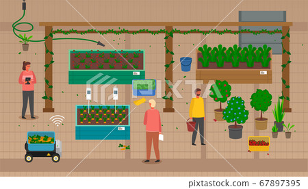 Growers using modern technologies to control process of growing eco vegetables, fruit trees, berries 67897395