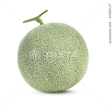 cantaloupe melon on white background 67899177