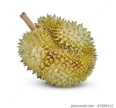Durian isolated on white background. Durian isolated on white background. 67899232