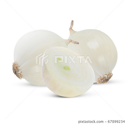 white onion on white background. white onion on white background. 67899234