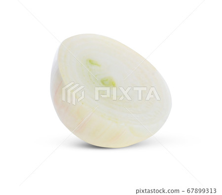 white onion on white background. 67899313