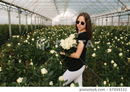 Young woman with bouquet of white roses stand inside roses plantation in greenhouse Young woman with bouquet of white roses stand inside roses plantation in greenhouse 67899332