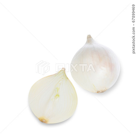 white onion top view on white background. white onion top view on white background. 67899469
