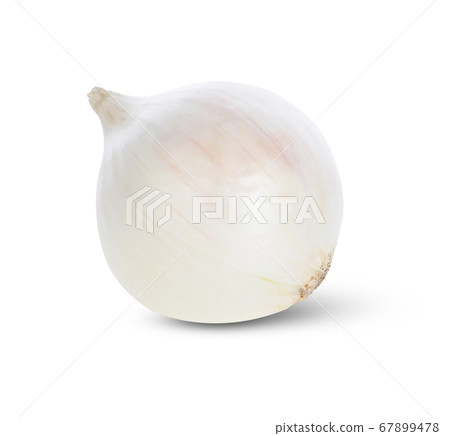 white onion on white background. white onion on white background. 67899478