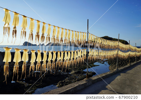 魷魚乾 魷魚乾 67900210