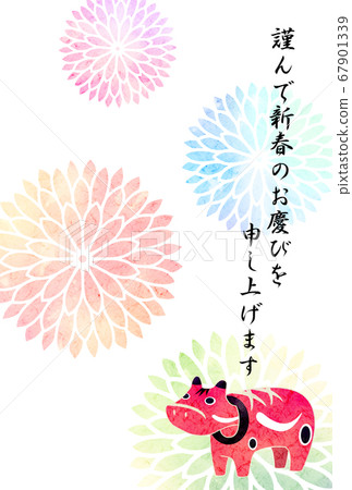 新年賀卡赤羽菊 67901339