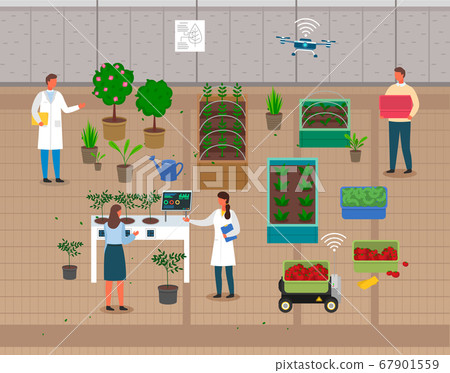 Engineers or scientists control process of growing eco plants, urban agriculture, farm develop 67901559