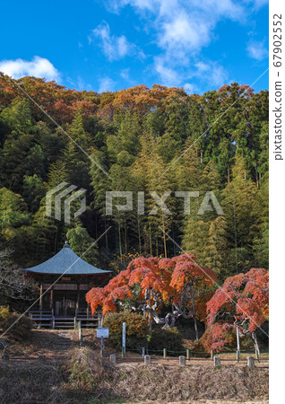 Fukushima Prefecture / Nationally designated natural monument Autumn leaves of "Nakagamado weeping maple" Fukushima Prefecture / Nationally designated natural monument Autumn leaves of "Nakagamado weeping maple" 67902552