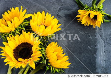 Yellow Sunflower Bouquet on Grey Grunge Background, Autumn Conce 67903034