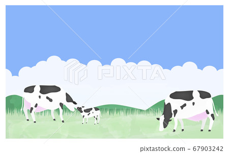Illustration of cows grazing on a summer ranch 67903242