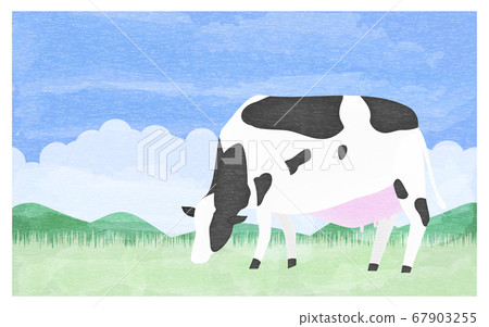 Illustration of a cow eating grass on a summer ranch Illustration of a cow eating grass on a summer ranch 67903255