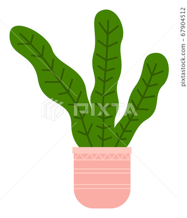 Decorative green plant with long leaves in ceramic pot, pot with houseplant. Home interior plant Decorative green plant with long leaves in ceramic pot, pot with houseplant. Home interior plant 67904512