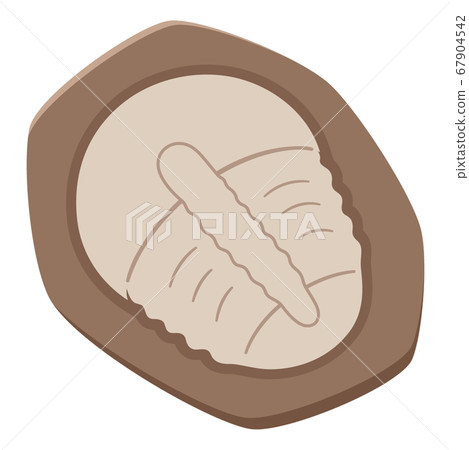 Illustration of a cute trilobite fossil 67904542
