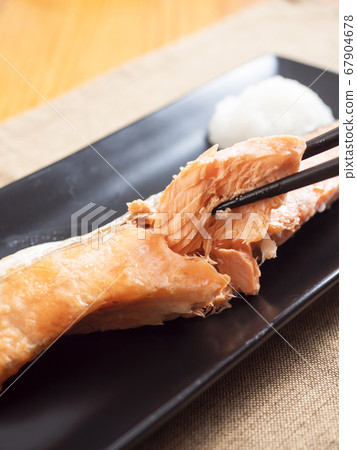 Grilled salmon Grilled salmon 67904678