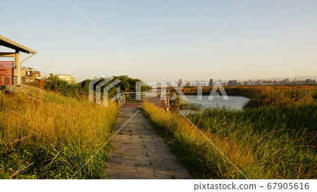 Ishiitaji Akira, a green grass, freshwater riverside 67905616