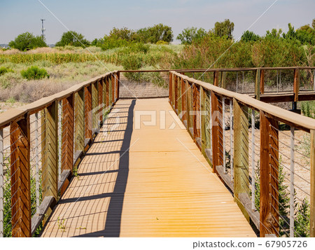 Beautiful landscape in Henderson Bird Viewing 67905726