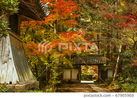 Ryotan-ji, a famous spot for autumn leaves in Kyoto, Kyoto Kameoka tourist spot, Kyoto Sanryuji, the location associated with Mitsuhide Akechi 67905908