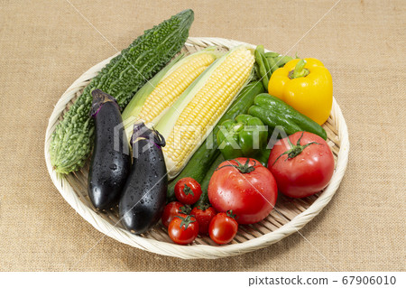 Summer vegetables_fruit vegetables_tomatoes_eggplant_cucumber_green pepper_corn_bitter gourd_edamame Summer vegetables_fruit vegetables_tomatoes_eggplant_cucumber_green pepper_corn_bitter gourd_edamame 67906010