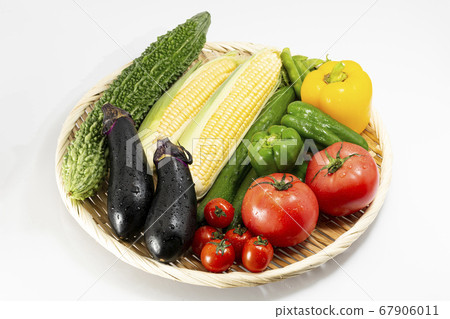 Summer vegetables _ with water drops _ fruit vegetables _ tomato _ eggplant _ cucumber _ peppers_ corn_ bitter melon_ edamame 67906011