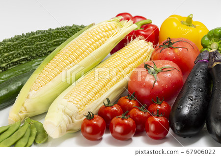 Summer vegetables_fruit vegetables_tomatoes_eggplant_cucumber_green pepper_corn_bitter gourd_edamame 67906022