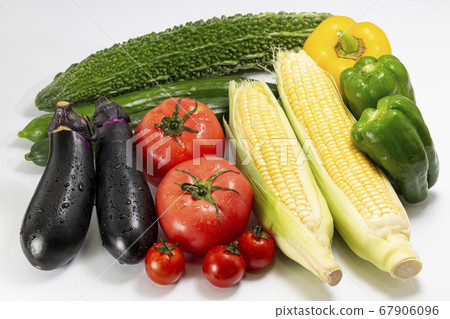 夏季蔬菜_加水滴_水果蔬菜_番茄_茄子_甜椒_黃瓜_玉米_苦瓜 67906096