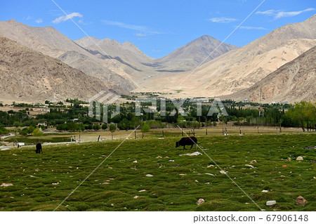 拉達克風景 67906148
