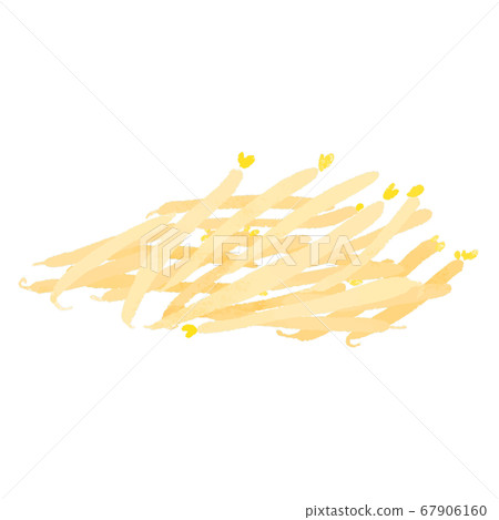 豆芽 67906160