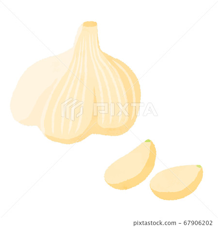 大蒜 大蒜 67906202