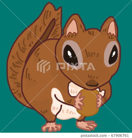 松鼠吃堅果的插圖 67906761
