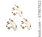 Illustration of a full calico cat 67907822