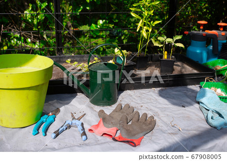 Household goods for the garden. Rubber gloves, flower pots, seedling boxes, Greenhouse in back garden growing plants at home Household goods for the garden. Rubber gloves, flower pots, seedling boxes, Greenhouse in back garden growing plants at home 67908005