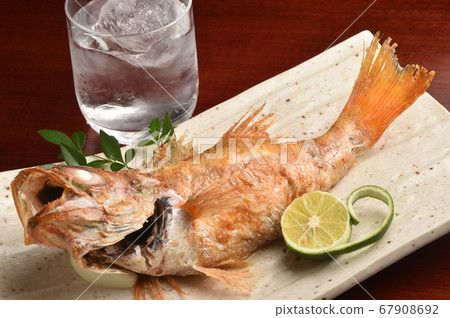 Grilled fish 67908692