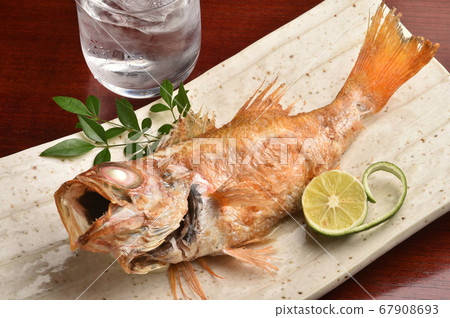 烤魚 烤魚 67908693