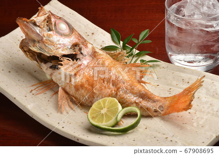 Grilled fish 67908695
