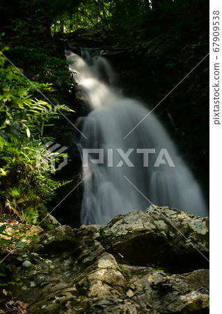 [Takatsuki City] Shirataki Gorge Shirataki Healed with negative ions during the rainy season 67909538