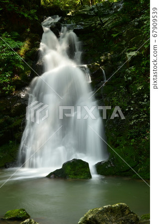 [高atsu市]白rat峽白rat在雨季被負離子治愈 67909539