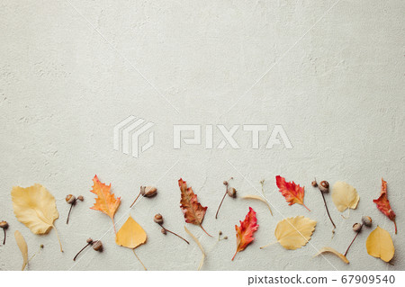 Autumn floral background. Fall leaves border 67909540