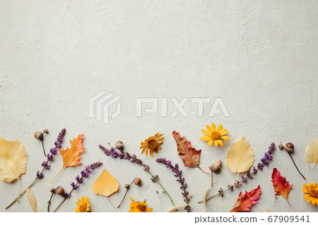 Autumn background, fall concept, thanksgiving day 67909541