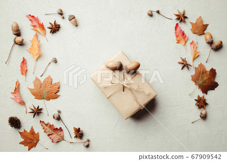 Autumn background, fall concept, thanksgiving day 67909542