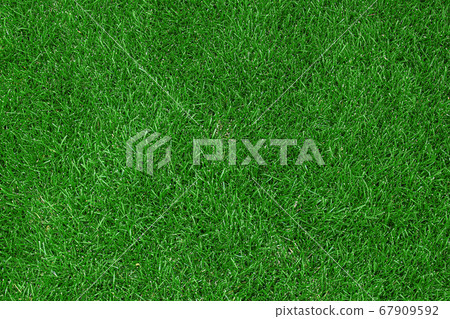 Green Grass texture during spring and summer Green Grass texture during spring and summer 67909592