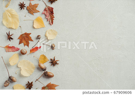 Autumn background, border of dry leaves, editable Autumn background, border of dry leaves, editable 67909606