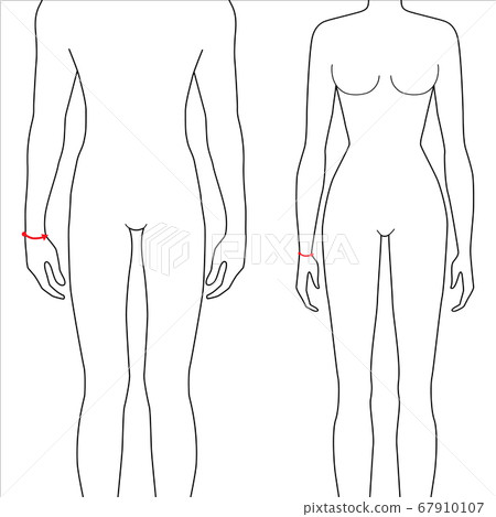 Women and men measurements fashion. Women and men measurements fashion. 67910107