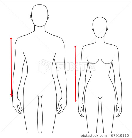 Women and men measurements fashion. 67910110