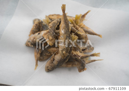 Bean horse mackerel 67911109