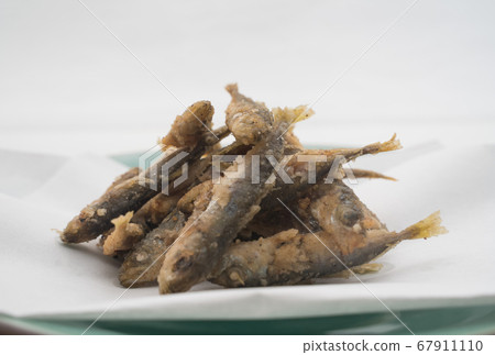 Bean horse mackerel 67911110