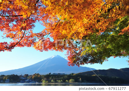  富士山和富士山 67911277