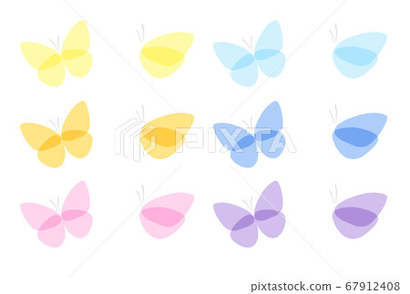 Butterfly  67912408